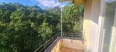 Balkon, Baumbestand - 