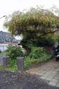 Wegekreuz - Einfamilienhaus mit 65,00 m² in Nettetal zum Kaufen