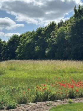 Bild.jpg - Baugrundstück in Niederwerrn - Ortsrandnähe