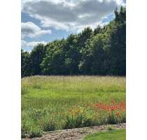 Baugrundstück in Niederwerrn - Ortsrandnähe