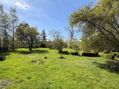 großzügiger Garten - 