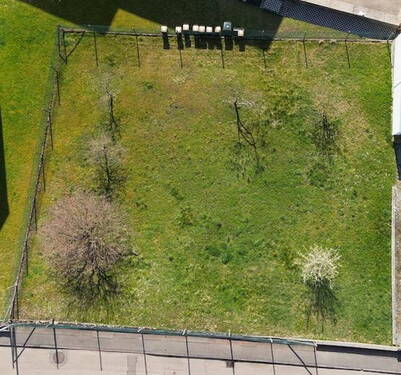 Grundstück - Ansicht von oben - Rarität in Eberstadt - Großzügiges Baugrundstück ohne Bauzwang & provisionsfrei!