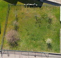 Rarität in Eberstadt - Großzügiges Baugrundstück ohne Bauzwang & provisionsfrei!