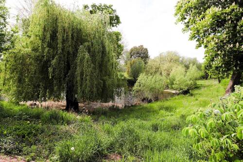 Teich - 1 Zimmer Einfamilienhaus zum Kaufen in Havelberg