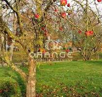 ***Baugrundstück für Einfamilienhaus - bauträgerfrei*** - Granzin