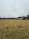 Ansicht - Landwirtschaftliche Nutzfläche - 80.000,00 EUR Kaufpreis, ca.  0,00 m²