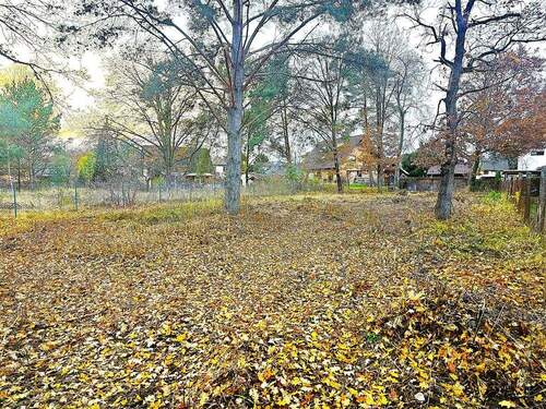 Ansicht von der Straße aus - Grundstück zum Kaufen in Oranienburg