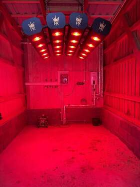 Pferdesolarium.jpeg - 