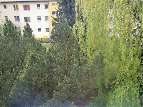 Ausblick - 