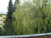 Ausblick - 