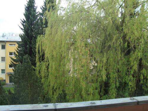 Ausblick - 
