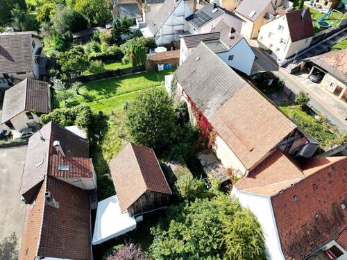 Vogel 1 - 