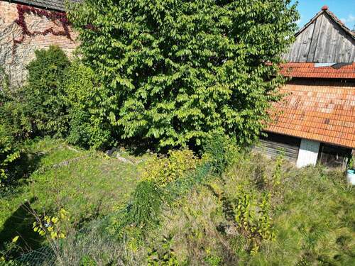 Vogel 3 - 