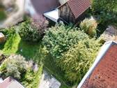 Vogel 4 - 