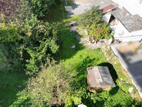 Vogel 5 - 