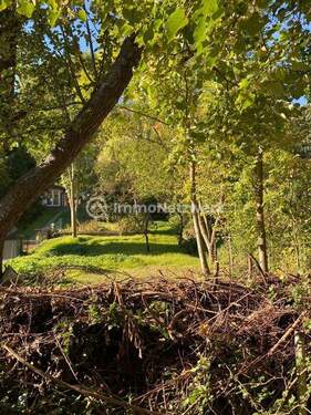 Bild 1 - Schöner Bauplatz (Baulücke) und eine großzügige Fläche Gartenland 2.824m² in der Natur. 2 Flurstücke