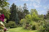 Garten - 