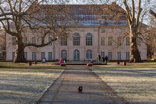 Schloss Schönhausen - 
