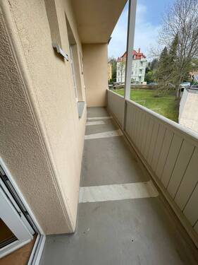 IMG_5991.jpeg - 