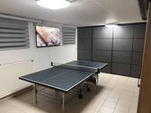 Tischtennis im Sportraum - 