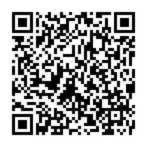 QR-Code - 