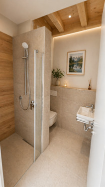 Gäste-Dusche - 