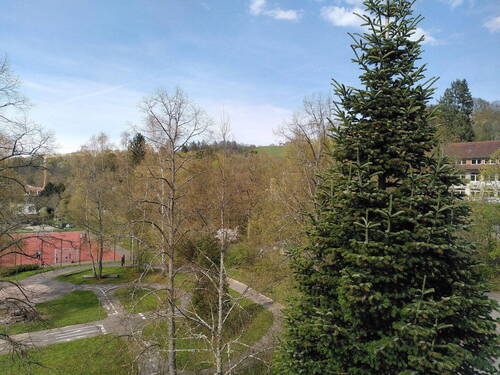 Blick aus Kinderzimmer - 