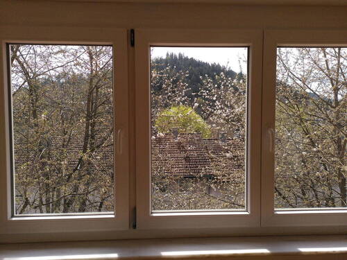 Blick aus Wohnzimmer - 