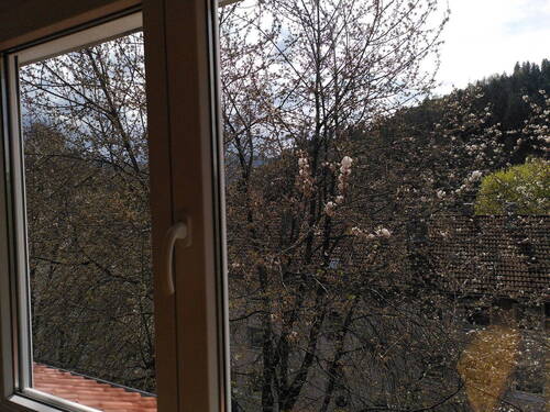 Blick aus Wohnzimmer - 