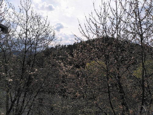 Blick aus Wohnzimmer - 