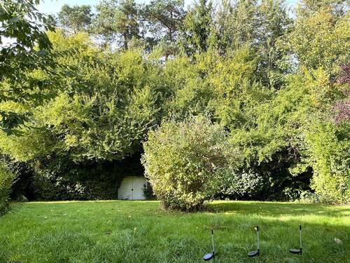 Blick in den Garten - 