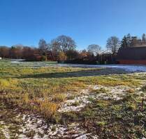 Franzburg: schönes Baugrundstück in ruhiger Lage