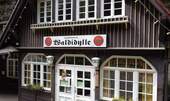 Impressionen (2) - 