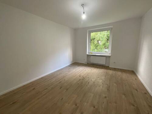 Zimmer1 - 