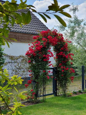 Garten - 