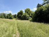 Molopark direkt vor der Haustüre - 