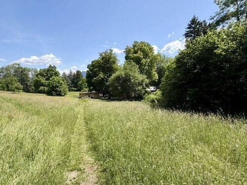 Molopark direkt vor der Haustüre - 
