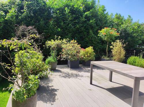 Terasse - 