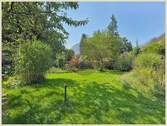 Außenaufnahme (Garten) - 