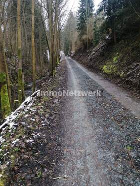 IMG_20200227_124803 - Grundstück in Gräfenthal