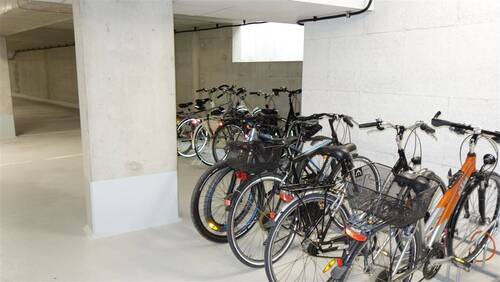Stellplatz Fahrrad - 