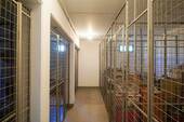 Kellerabteile - 