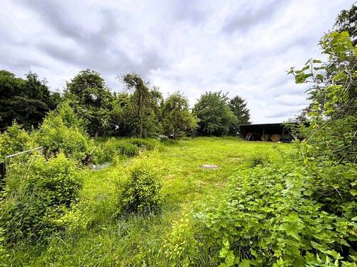 Blick von Terrasse - 