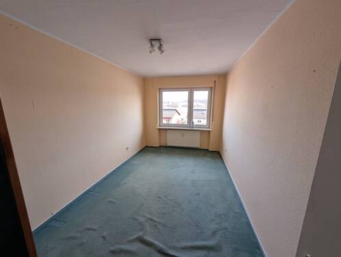 PXL_20250307_122819372.jpg - 