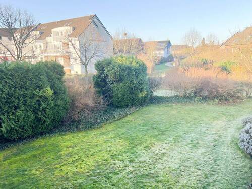 Blick ins Grüne...!! - 