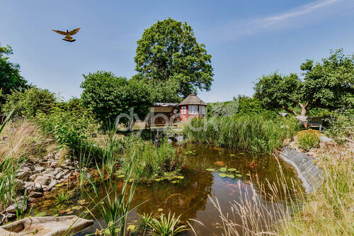 Gartenidylle - 