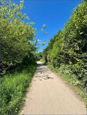 Spazierweg hinter dem Grundstück - 