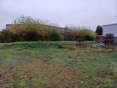 5. Freifläche hinten - 