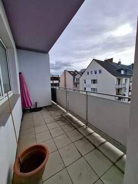 20260228_110703.jpg - 