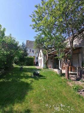 Garten - 6 Zimmer Einfamilienhaus in Neuwied